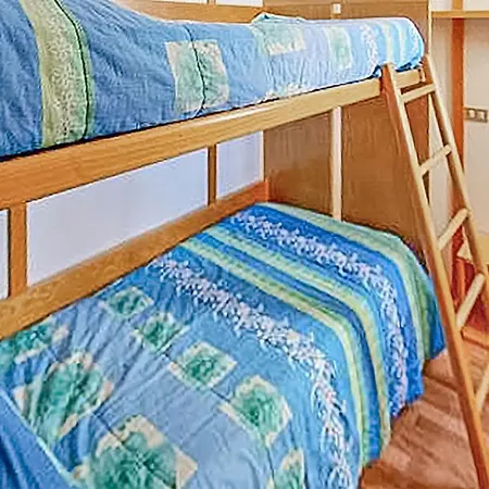 Apartment 1 Bedroom Nice In